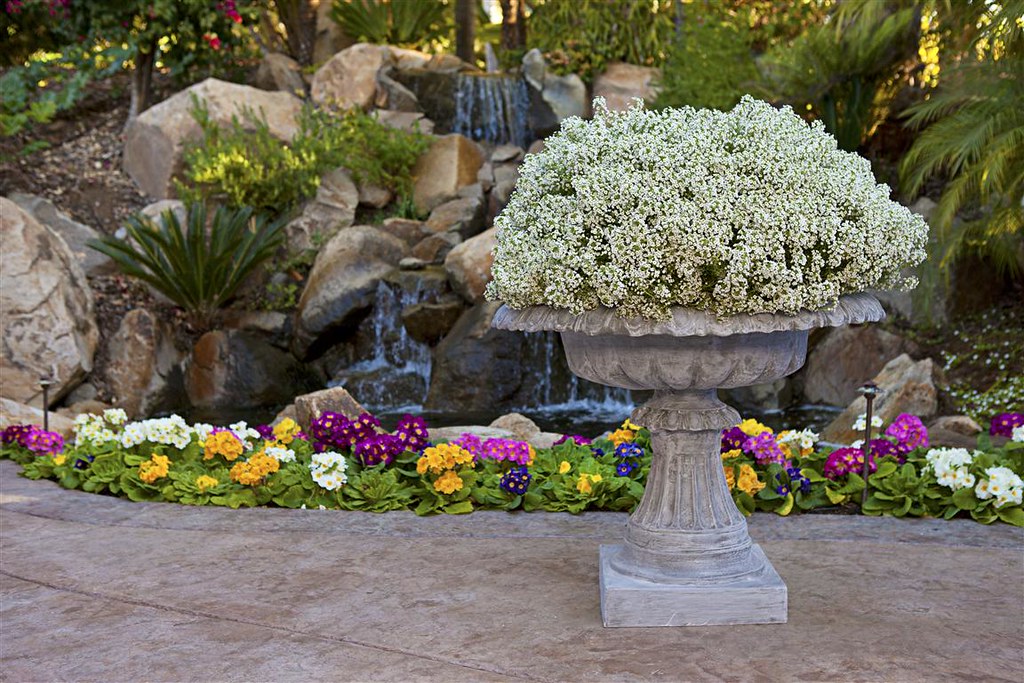 Chelsea Urn without Handles