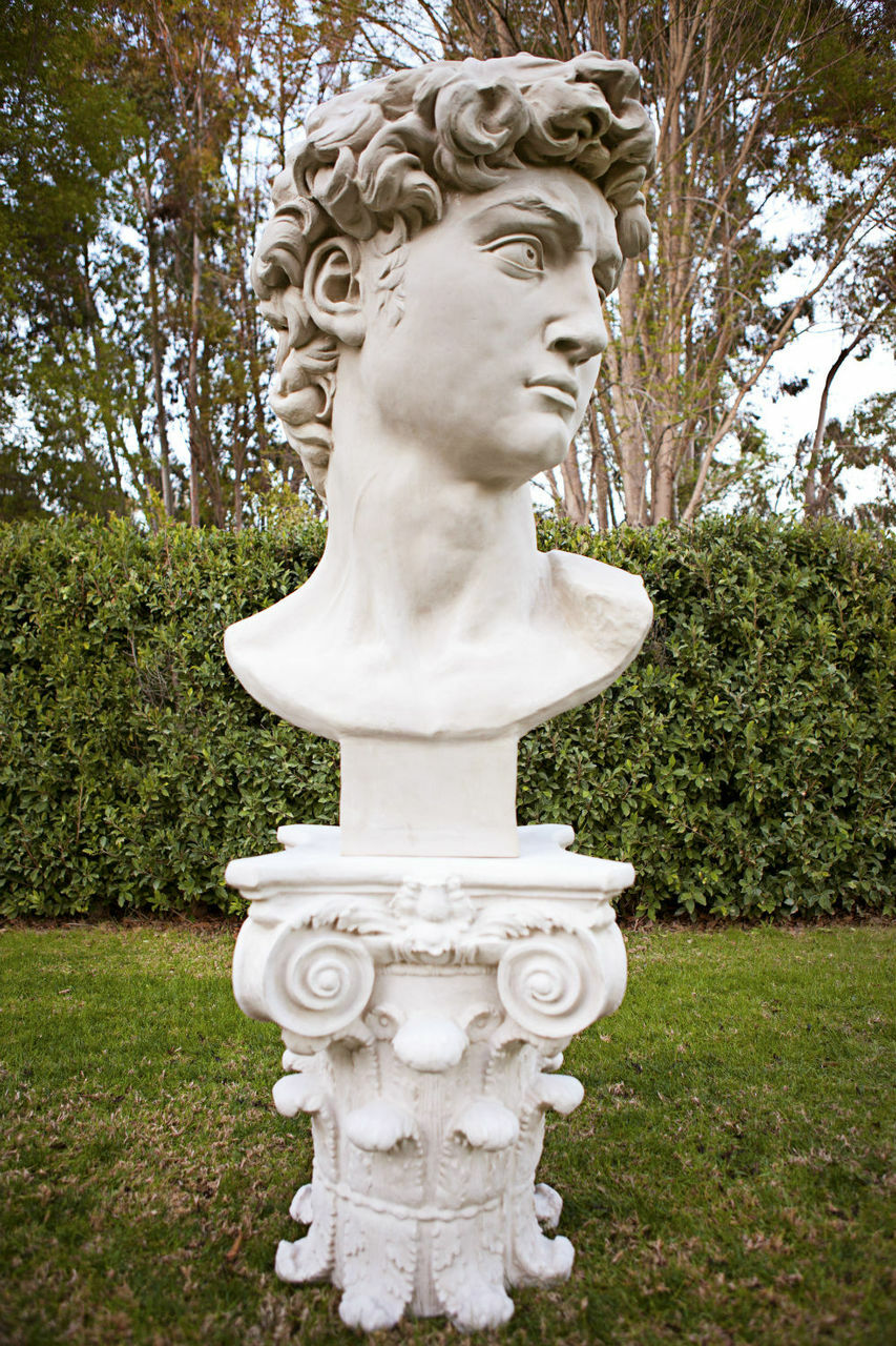 David Bust
