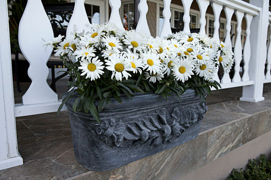 Oval Fruit Window Planter