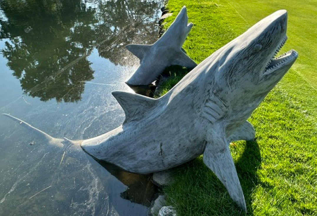 Dolphin Statue