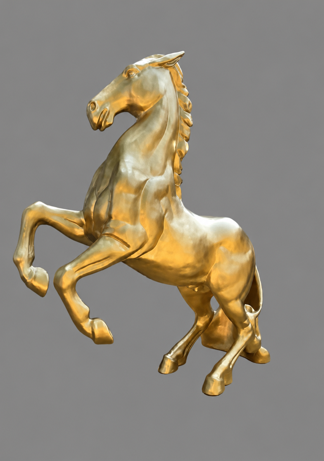 Rearing Up Horse