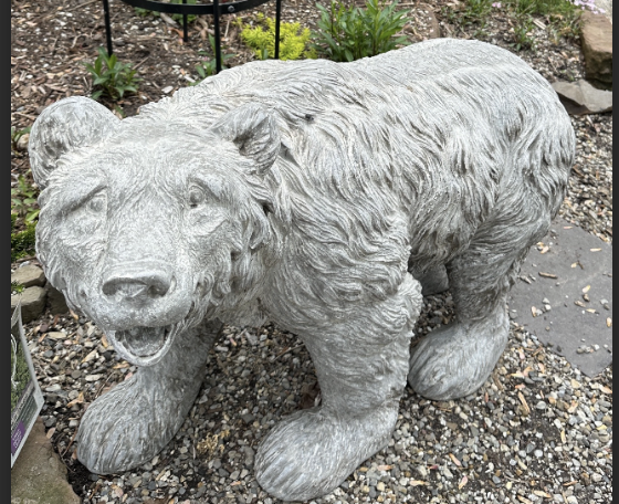 Bear