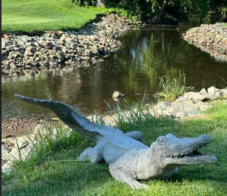 Alligator Statue