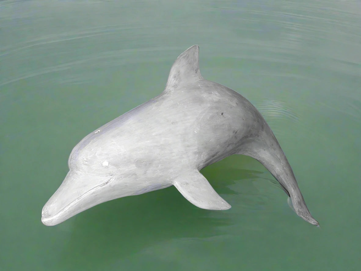 Dolphin Statue