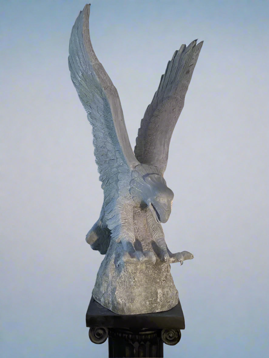 Flying Eagle Wings Up