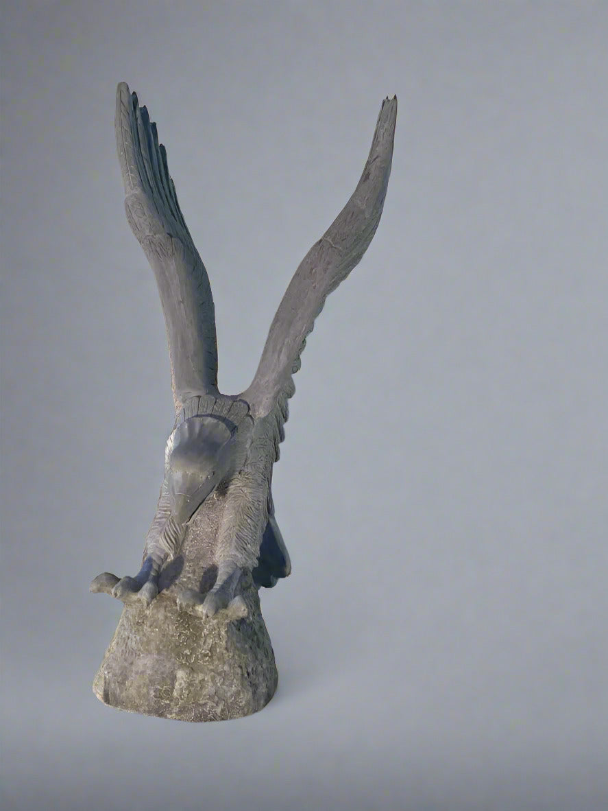 Flying Eagle Wings Up