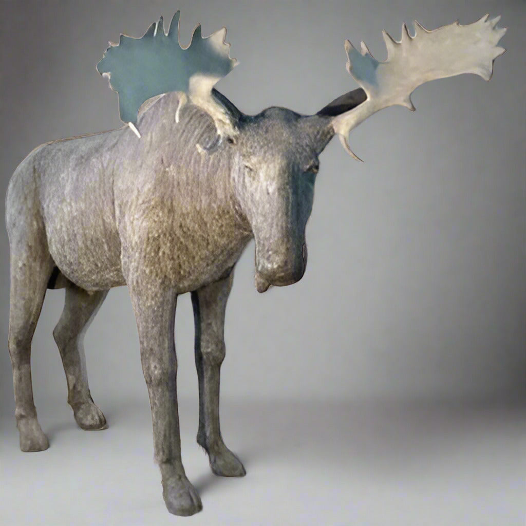 Standing Moose