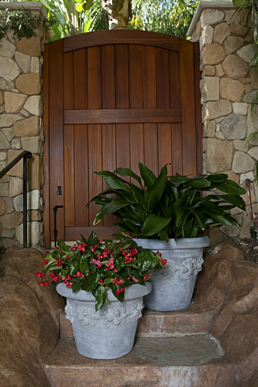 Fruit Planter