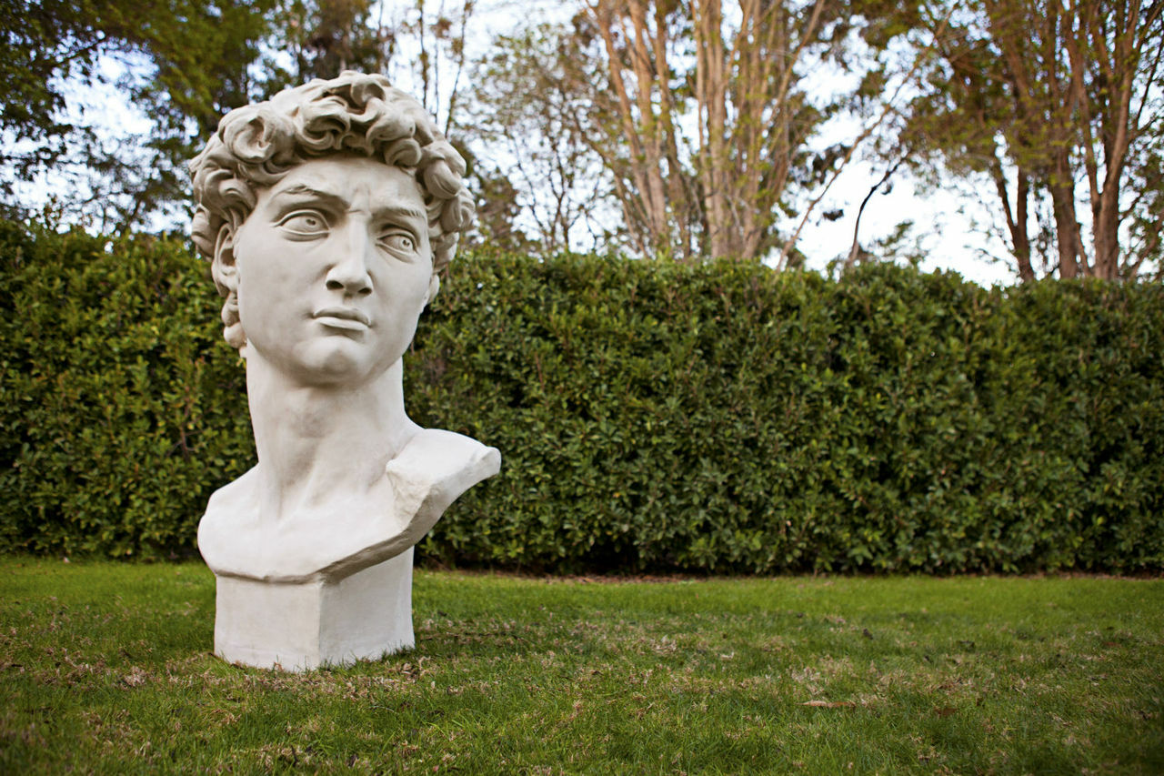 David Bust
