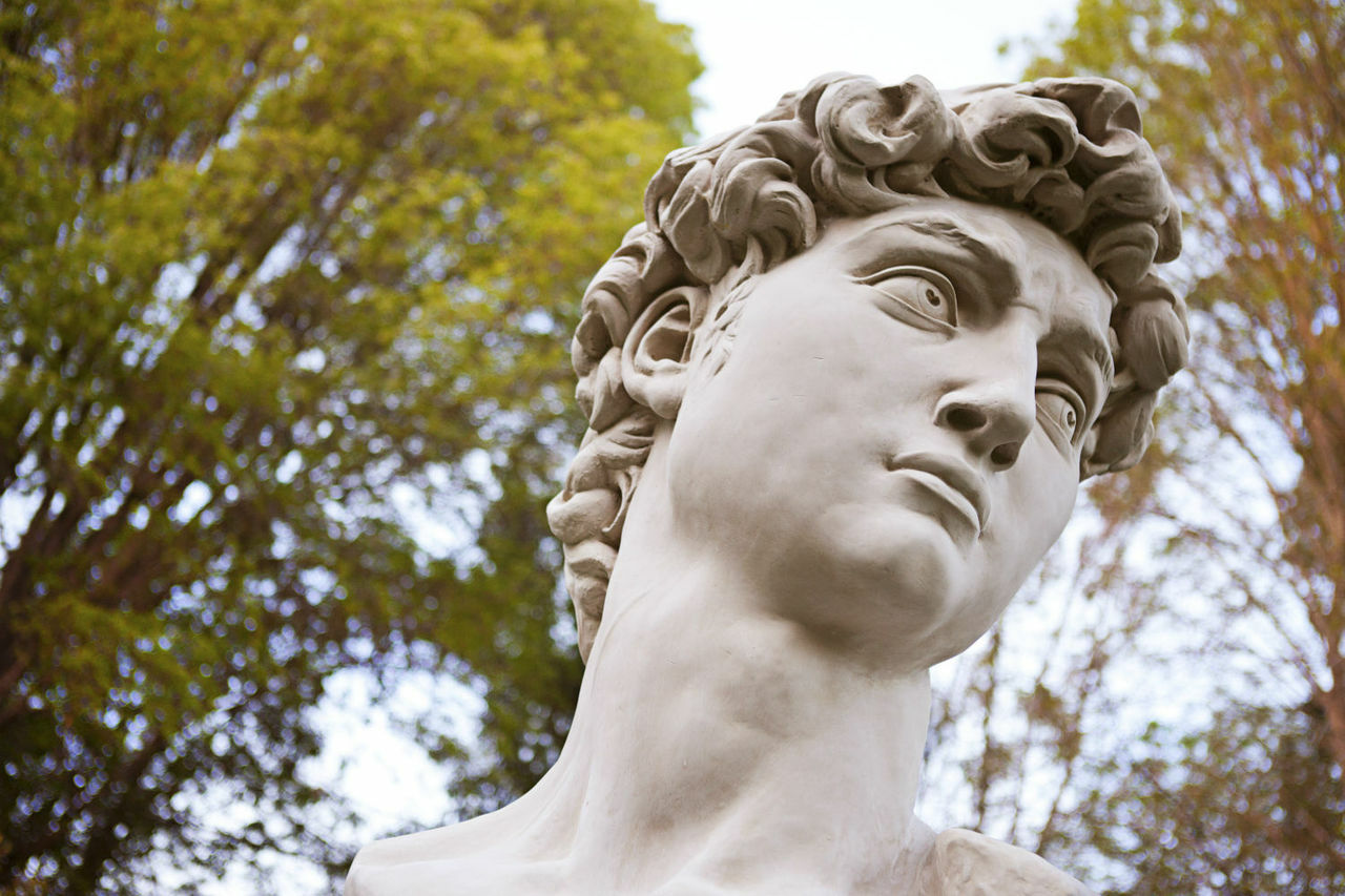 David Bust