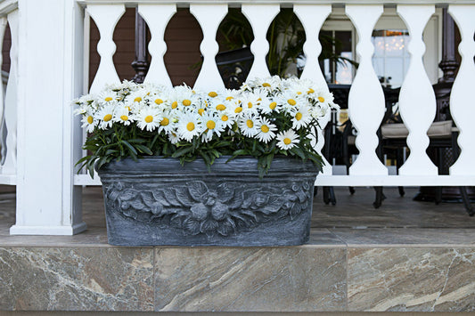 Oval Fruit Window Planter