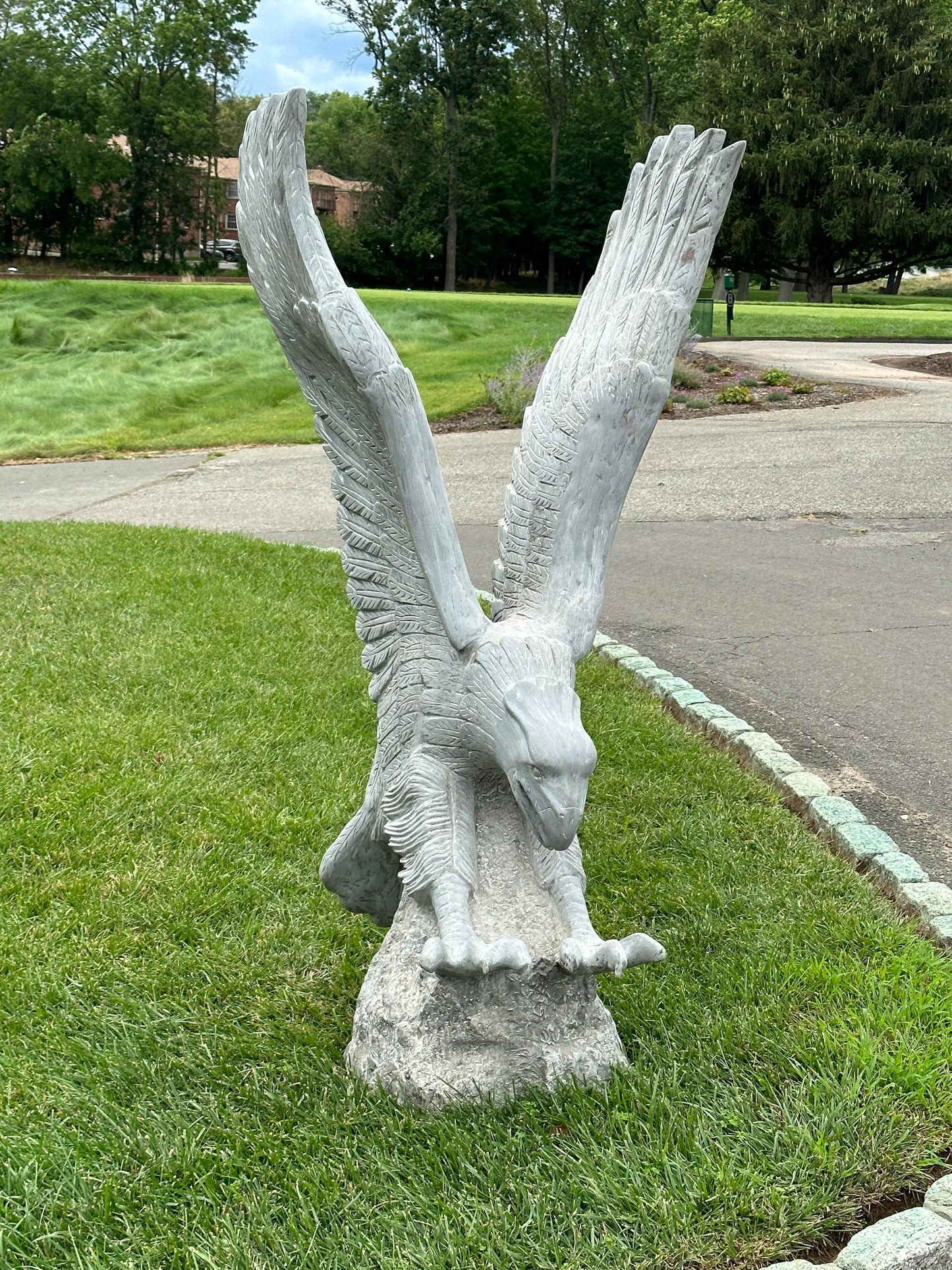 Eagle Wings Up Landing