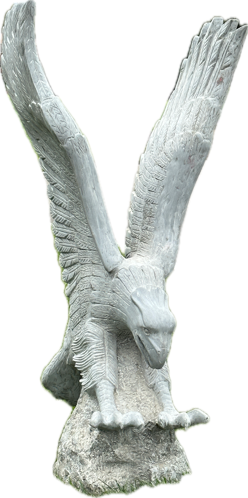 Eagle Wings Up Landing