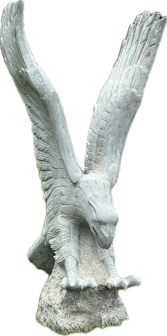 Eagle Wings Up Landing