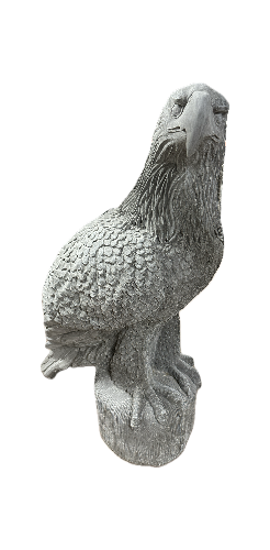 Large Eagle on Stump