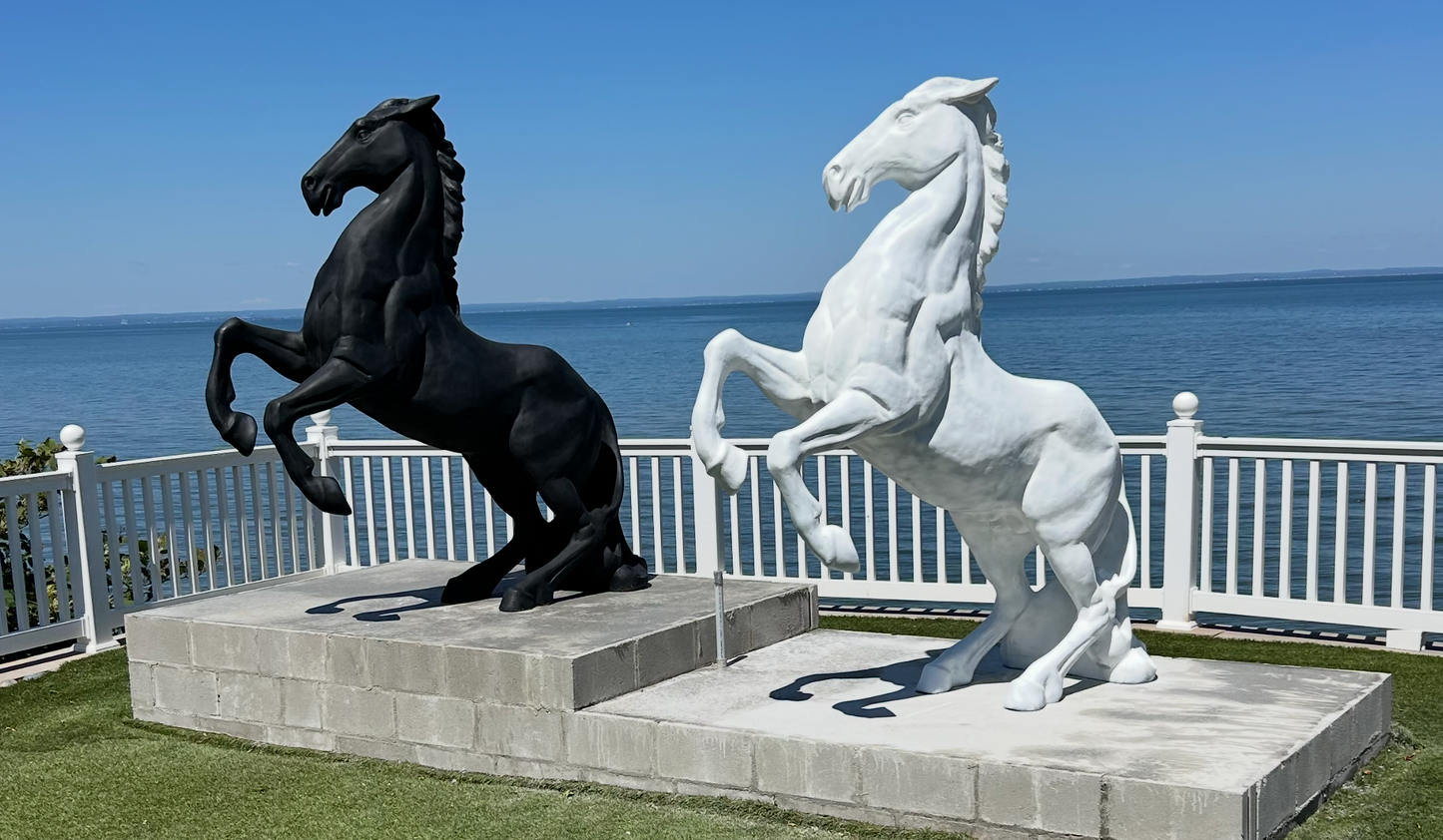 Rearing Up Horse