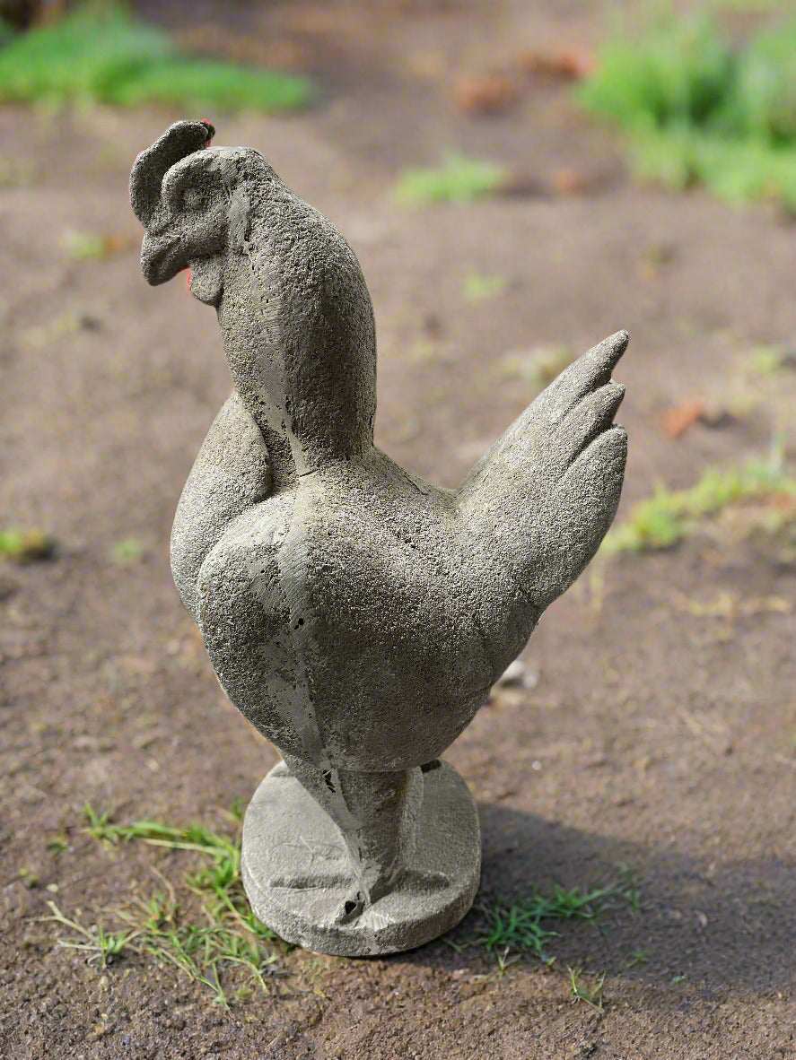 Rooster