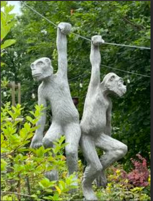 Monkey Statue Right or Left Facing