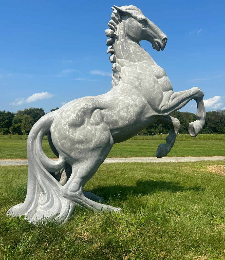 Rearing Up Horse