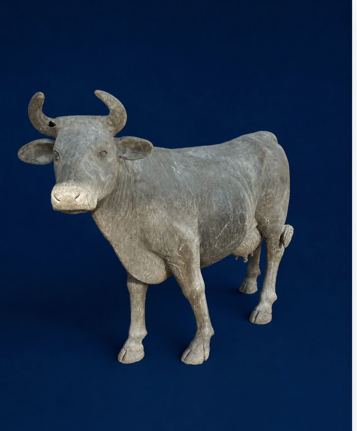 Cow